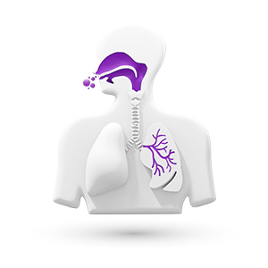 Alergologia – ikona