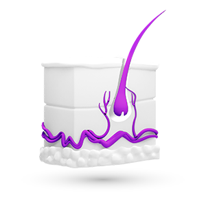 Dermatologia – ikona