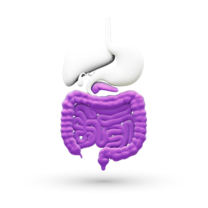 Gastrologia